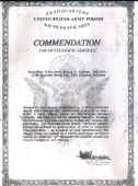 Cubbage Commendation.JPG (209080 bytes)
