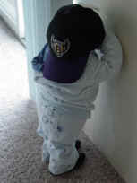 DSC09261.JPG (17249 bytes)