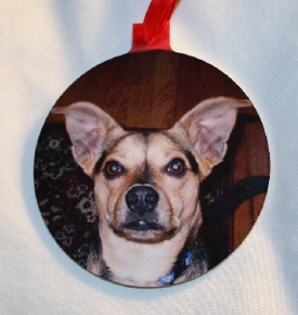 Ornament Dog.png (354552 bytes)